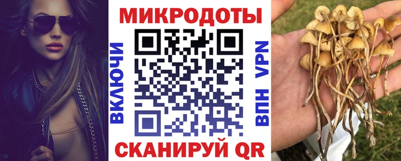 Купить закладки  Старая Купавна  Псилоцибиновые грибы Psilocybe 